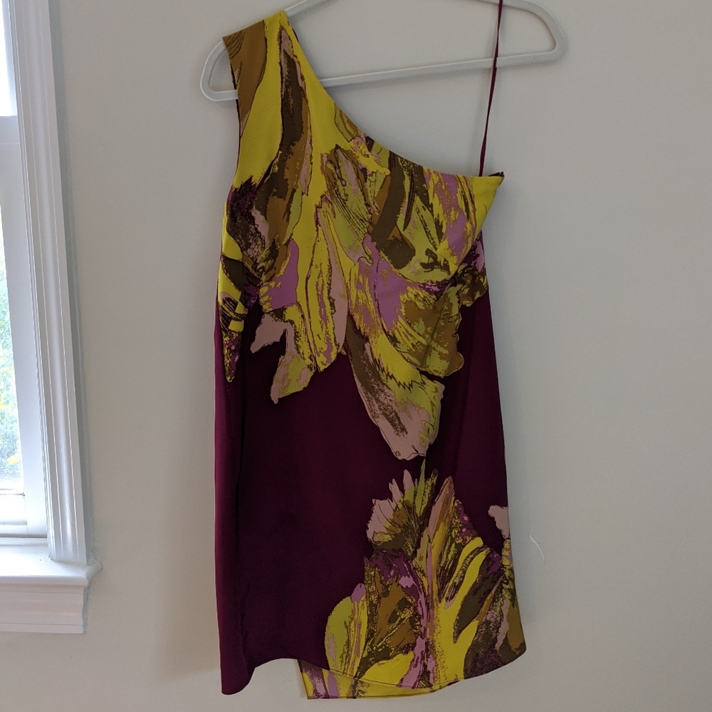 Tibi Dress